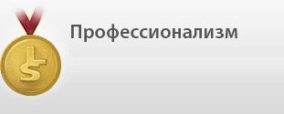 Профессионализм